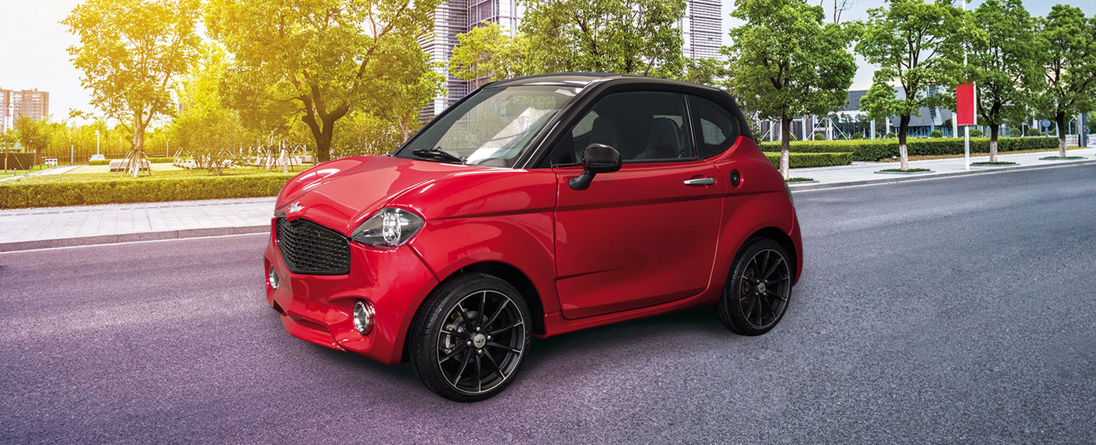 Voitures sans permis